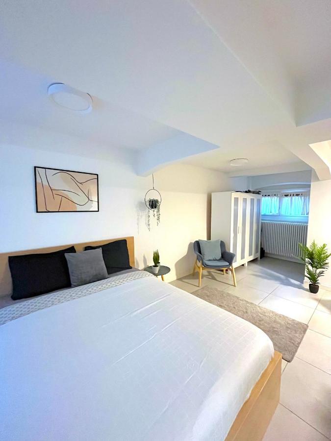 The Hidden Studio; Comfy & Close To The Lake Lugano Eksteriør bilde